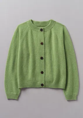 Eden Wool Cashmere Raglan Cardigan | Pea Shoot